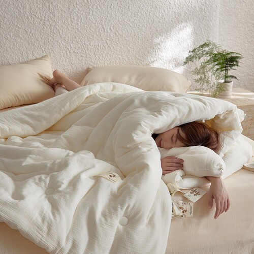 可啃咬A类抗菌全棉蚕丝蛋白被子冬被加厚春秋被芯子母被四季通用