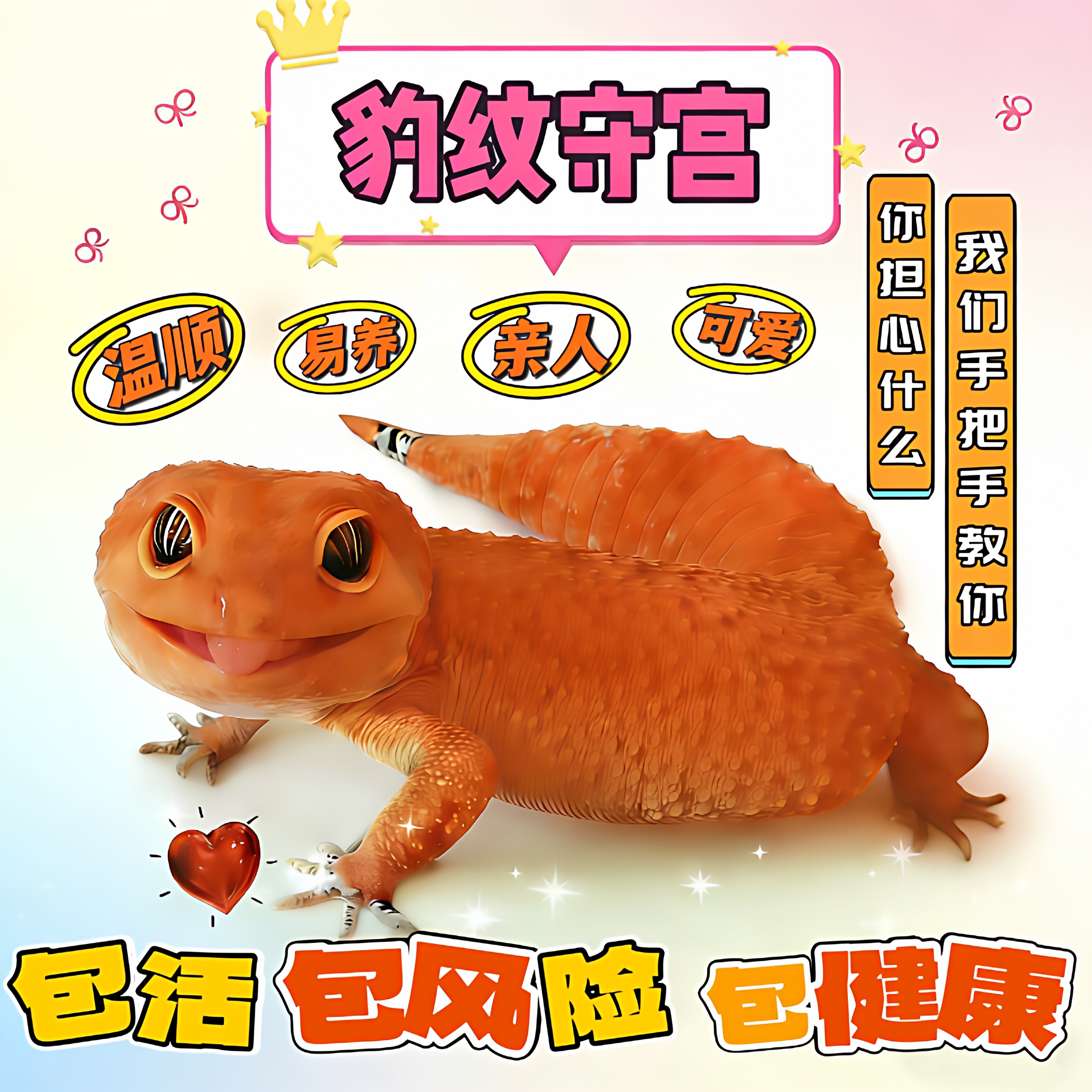 豹纹守宫蜥蜴宠物活体新手入门级网红爬宠温顺易养阳光蜜橘银河,宠物/宠物食品及用品,守宫蜥蜴,淘宝优惠券,粉丝福利购,淘宝优惠卷