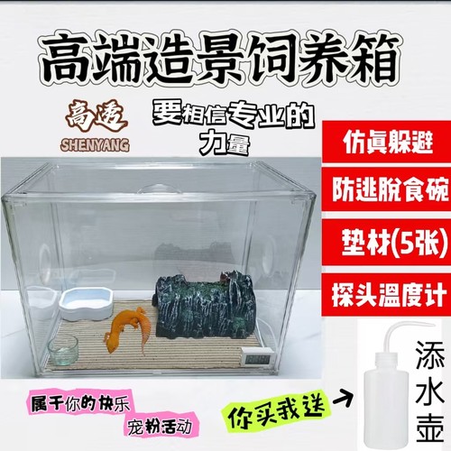 新手入门豹纹守宫爬宠饲养盒饲养套餐豹纹守宫加温垫