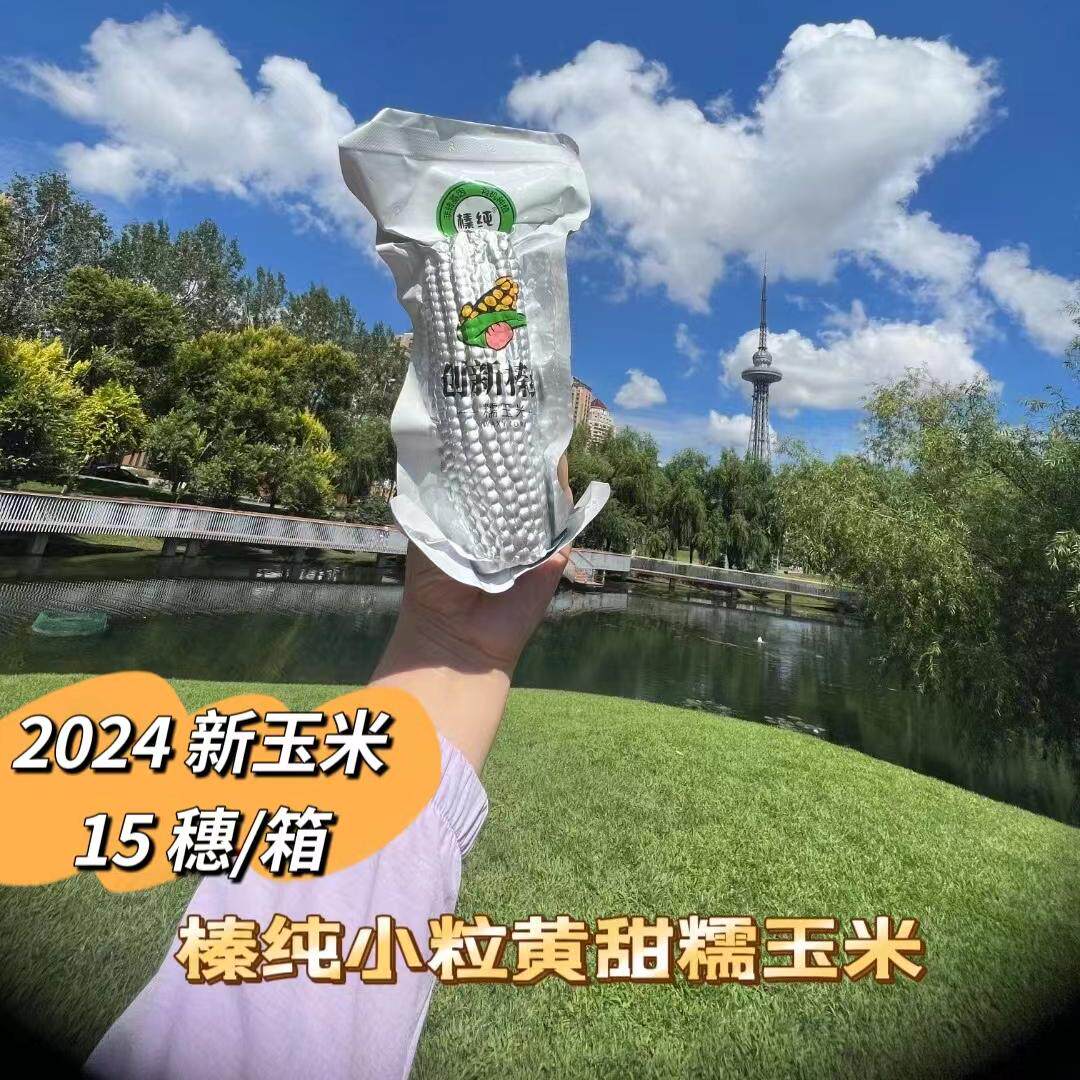 2026新玉米创新榛纯甜糯玉米东北粘苞米黑龙江小粒黄包邮