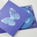 音乐CD光盘DVD视频包装 个人专辑定制高端 印刷生日节日礼物 包邮