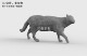 猫 走路 非实物 stl文件3D打印数据宠物三维扫描高精度素材