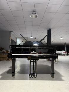 三角钢琴德国进口配置专业演奏级真钢琴家用门德尔松钢琴