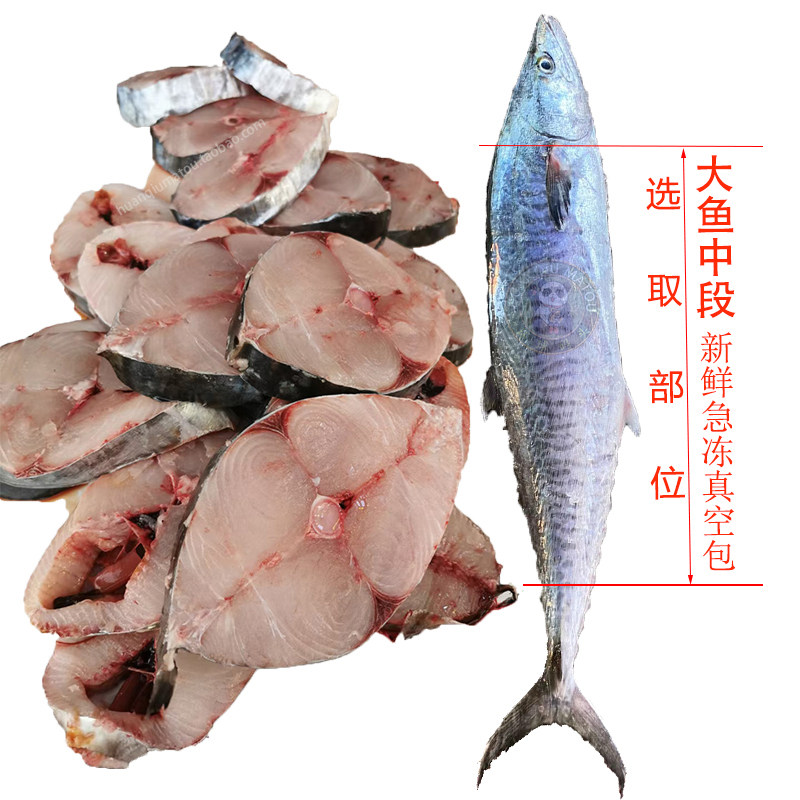 海南马鲛鱼新鲜海钓切片大鲅鱼冷冻深海大马交鱼中段礼盒快递包邮