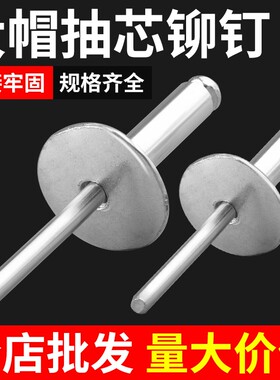 大帽铆钉铝制圆头大帽沿拉铆钉抽芯铆钉大扁头汽车拉铆钉大头拉钉