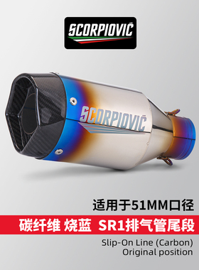 适用于摩托车MT09 Z400 R3 450SR Z900 SR1改装镜面尾段 通用尾管