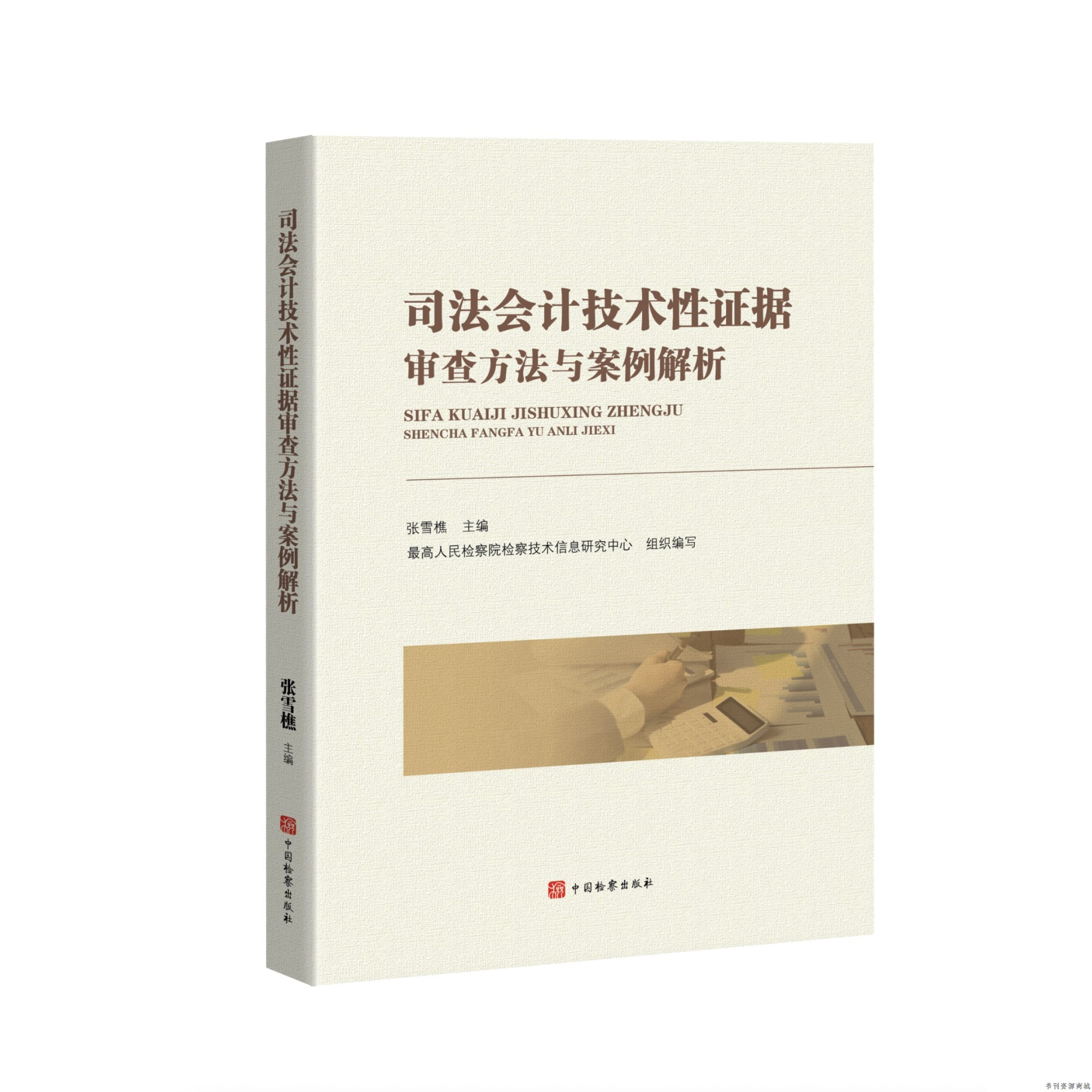 正版2025新书 司法会计技术性证据审查方法与案例解析 张雪樵 著 中国检察出版社9787510232930