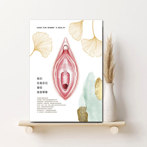抽象外阴私密艺术挂画产康美容医院生殖养护装饰画月子中心墙壁画