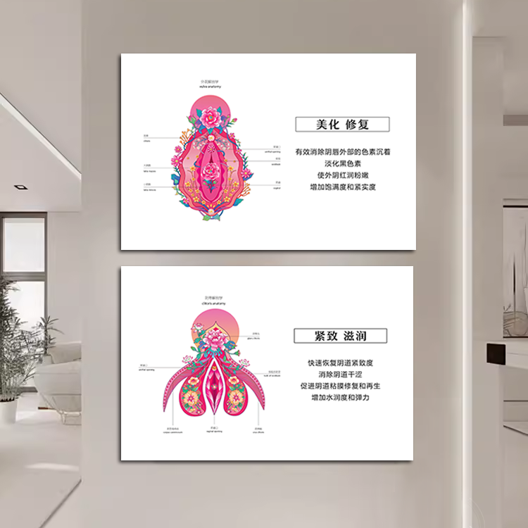 产康解剖图生殖抗衰挂画现代美容院墙装饰画月子中心产后修复壁画