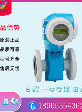 E+H恩德斯豪斯电磁流量计Proline Promag W 300（可国产替代）