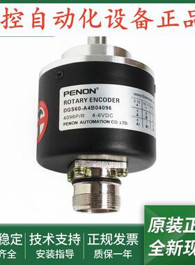 DGS60-A1R02500-A4A(B)00500-A4B01000-A4B04096-AZA0-S01