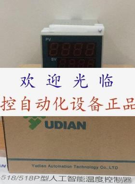 AI516DX3-220VAC  AI-207AL1L0  Ai-208D1G AI-516EGL0S 宇电