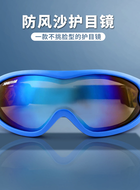 经典流线型防风沙护目镜