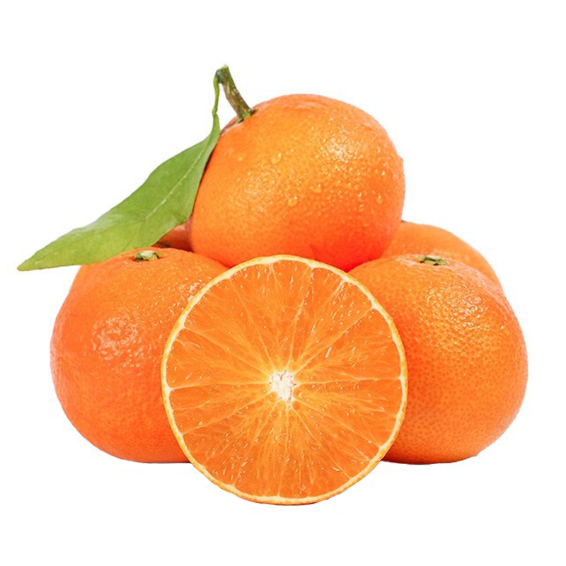 正宗象山红美人柑橘水果