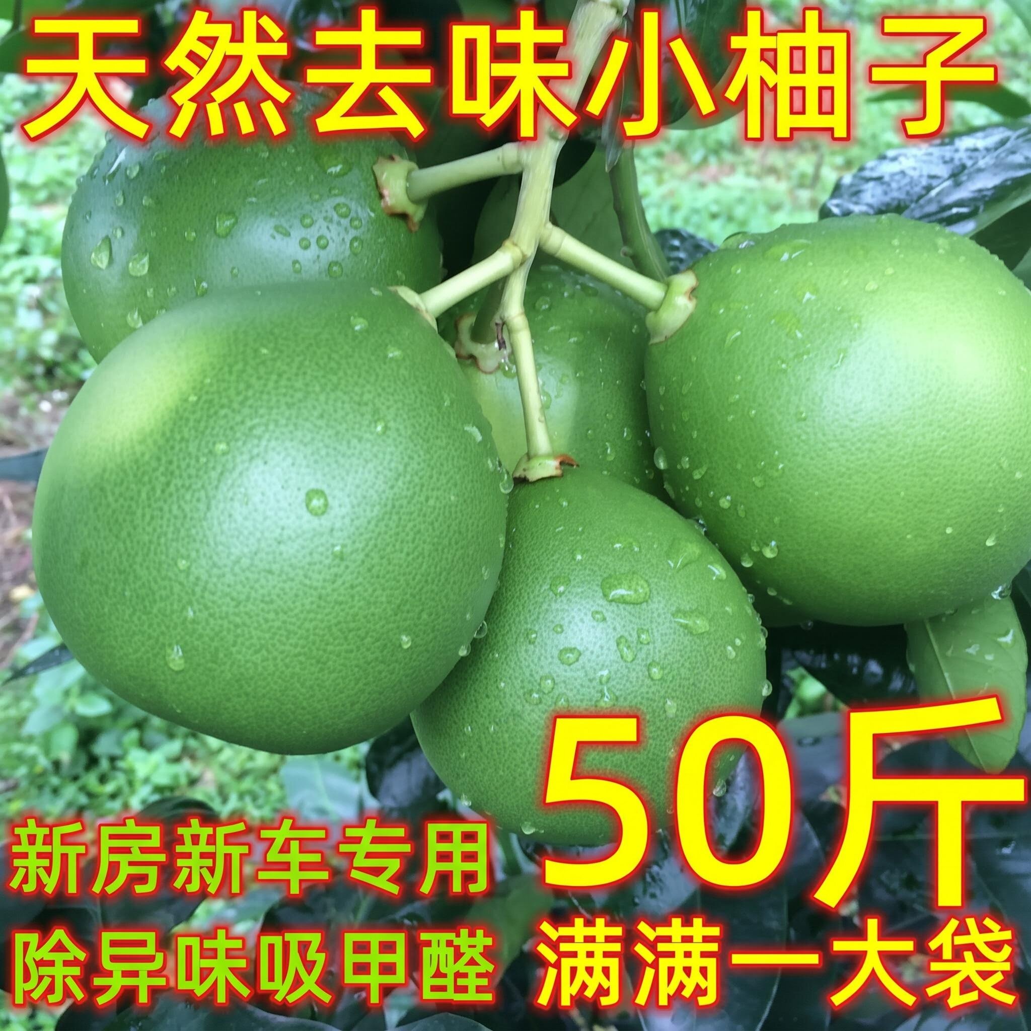 去味新房新车去甲醛柚子皮