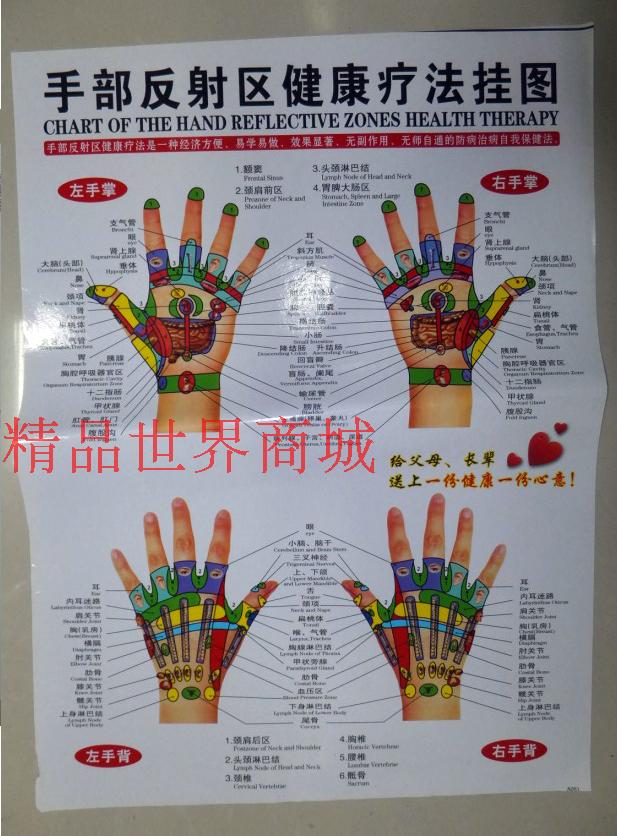 手部穴位图经络图