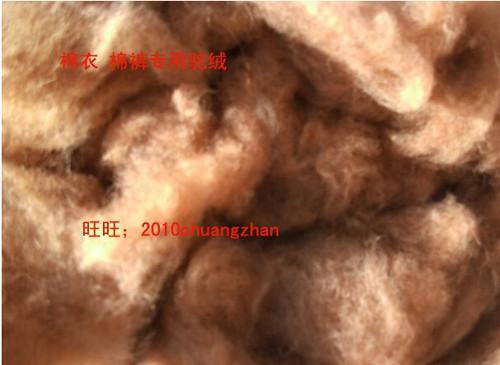 正品阿拉善骆驼绒保暖 绒毛 精选驼绒床品棉衣填充250克包邮 - 封面