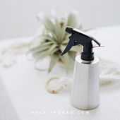 美观家居园艺用品 精钢不锈钢喷雾壶 浇水壶浇花壶 豆绿 DOLV