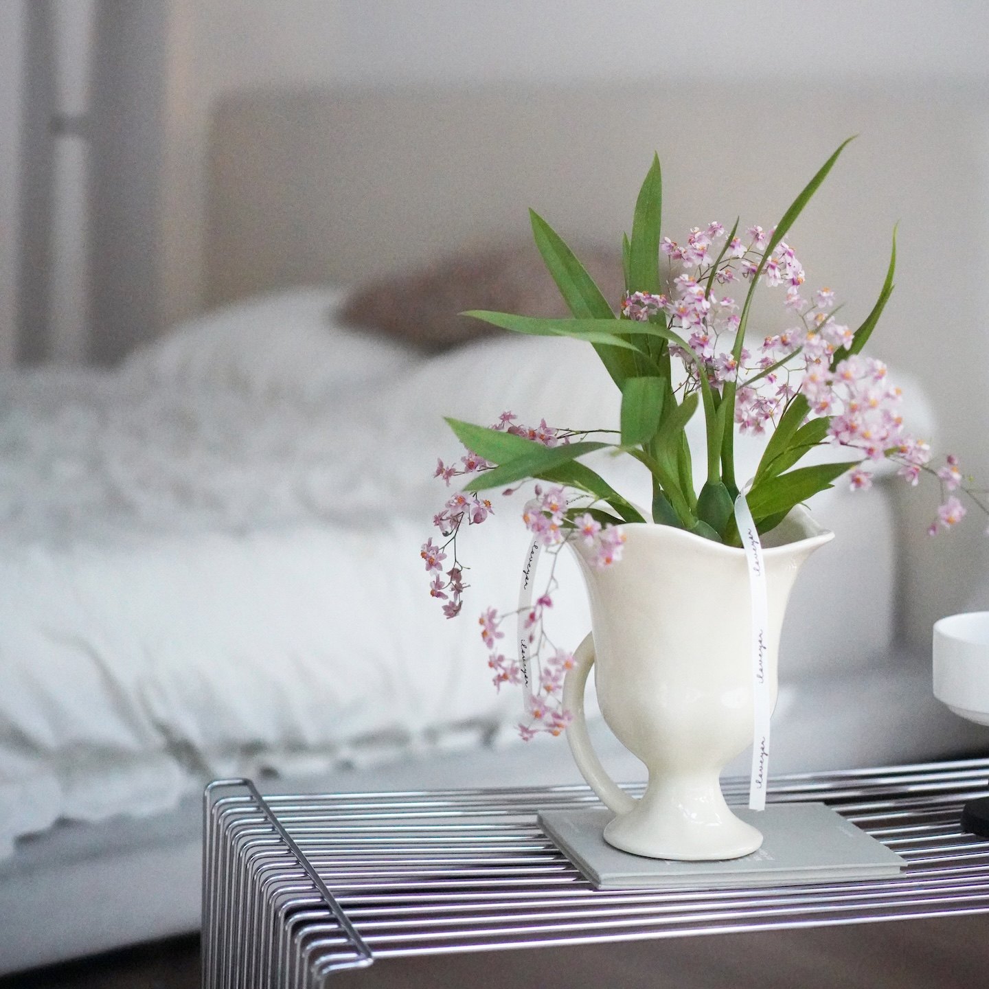 粉色梦香兰开花植物盆栽