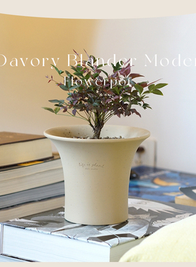 DOLV 豆绿 达夫里经典艺术花盆 巴黎画派家居园艺陶土花盆花器