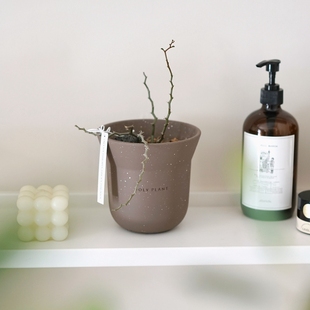 DOLV 豆绿 弯曲龙 韩国ins冷淡风小众沙生植物盆栽 好养桌面绿植