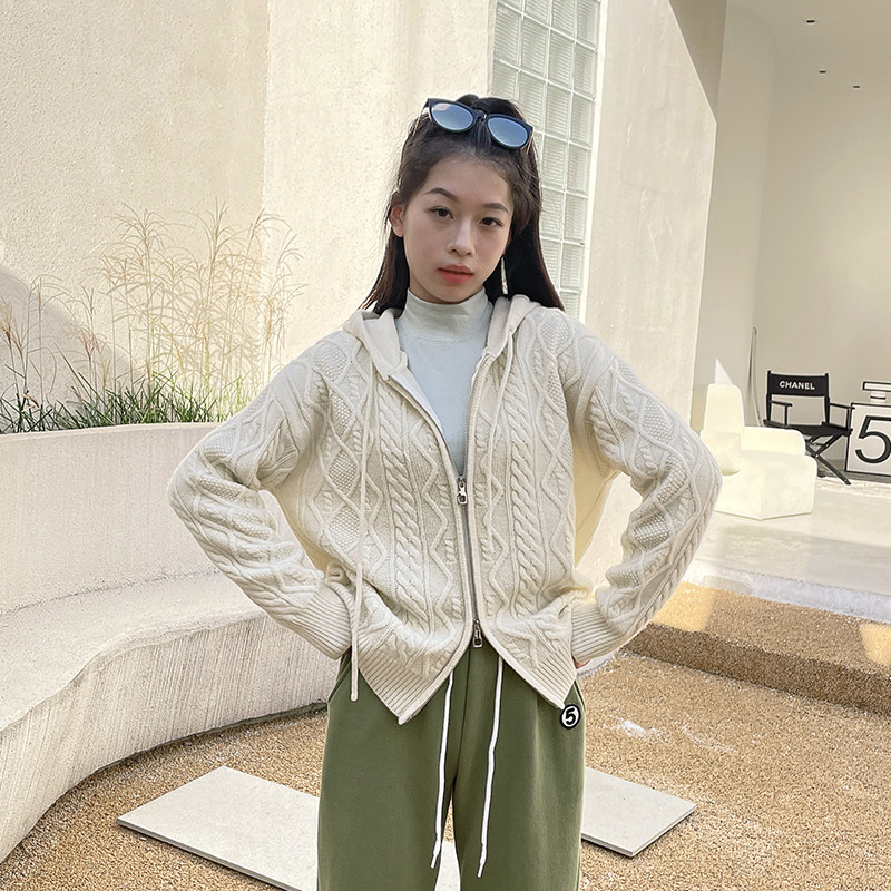 连帽拉链外套宽松羊毛针织开衫女冬季新款菱格麻花休闲毛衣