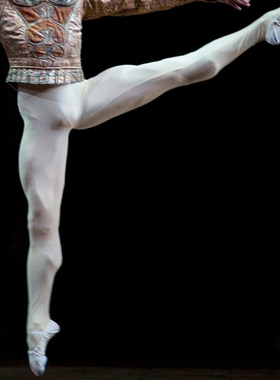 锦纶芭蕾舞裤袜成人护身形体练功裤连体打底男长芭裤紧身考级女