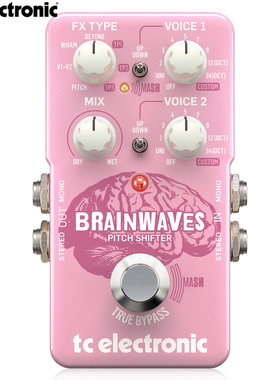 TC Electronic BRAINWAVES PITCH SHIFTER复调移调吉他单块效果器
