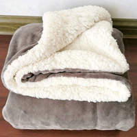 Small blankets made of lambskin, thickened winter blankets, office midday nap blankets, coral velvet blankets, student dormitories thumbnail 3