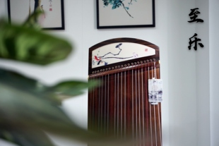 至听乐器 至乐 135便携式