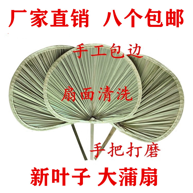 扇子济公老人老式蒲扇蒲草纳凉