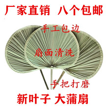 扇子济公扇老人老式大蒲扇手工纳凉蒲草扇芭蕉扇舞蹈扇棕叶烧烤扇