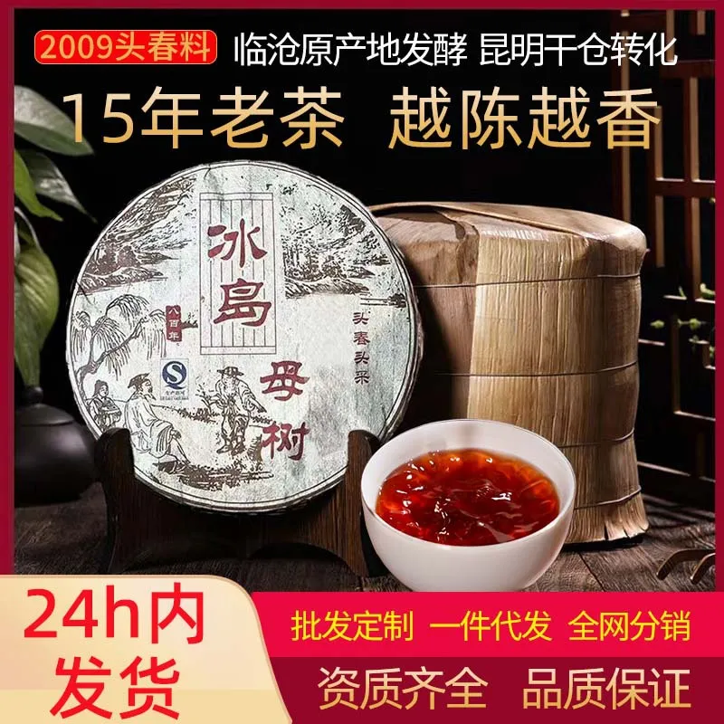 冰岛母树普洱熟茶冰岛云南七子饼