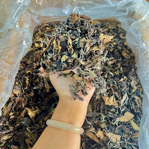 22年百年古树老白茶大叶种古树茶散茶贡眉老白茶500克装