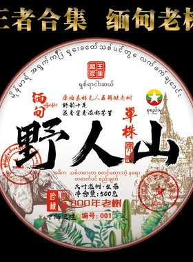 缅甸茶叶野人山2023年头春生茶500克大饼茶特产老树茶饼茶
