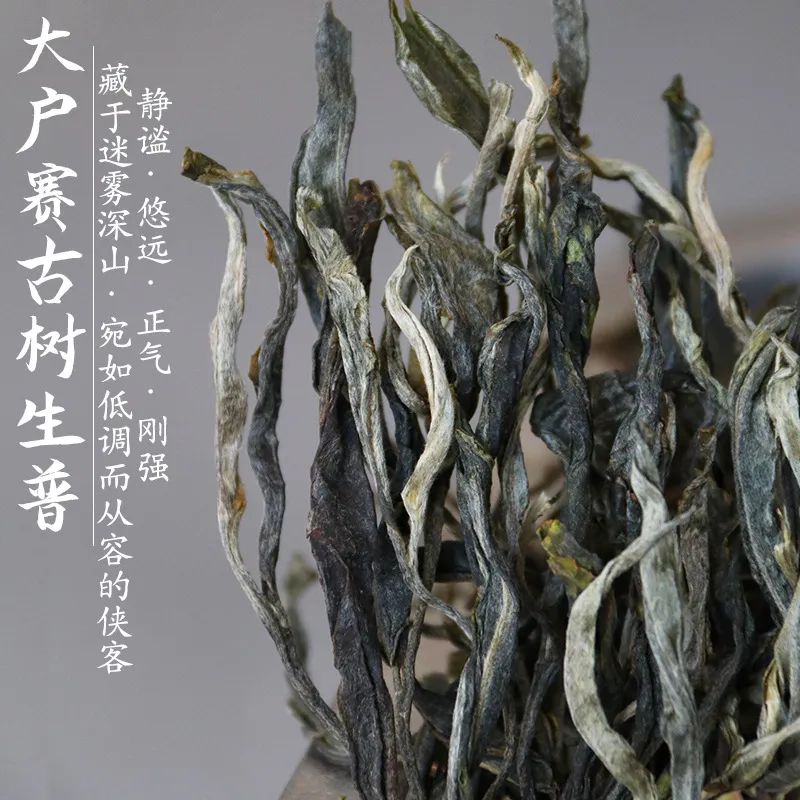 2024头春大户赛古树生普临沧古树纯料普洱茶生茶500g古树茶叶