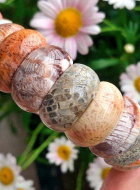 缤纷彩色精品天然凤尾纹珊瑚玉手牌菊花玉石手镯百搭手饰精品手串