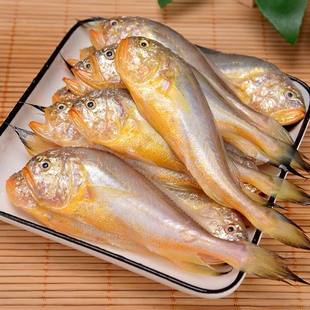 大连海鲜大头宝鱼 梅童鱼  新鲜梅子鱼 4斤速冻发货顺丰包邮