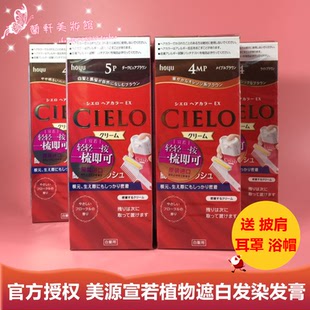 日本进口HOYU美源CIELO 宣若遮盖白发染发膏染发剂 植物染发剂