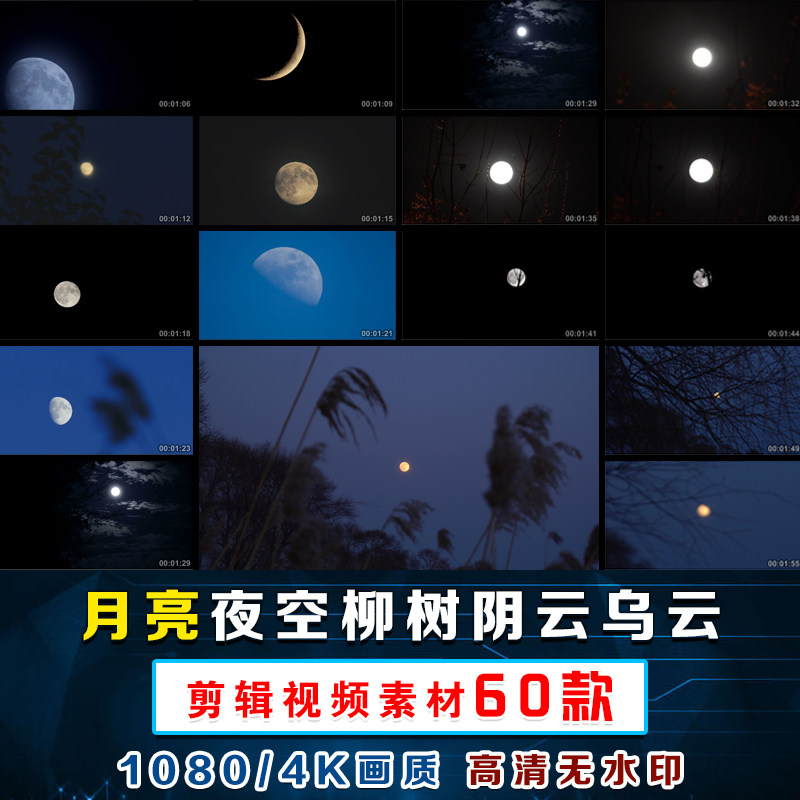 柳树阴云夜空乌云松树月亮树枝明月光圆月蓝月空镜剪辑视频原素材