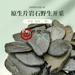 原生缸精品溪流片石乌龟晒背片岩造景台鱼缸爬宠假山组合石片晒台