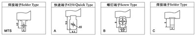 品钮子开关单极单向自动复位型 XT11BF新