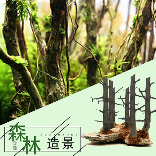 沉木森林造景成品水族鱼缸草缸