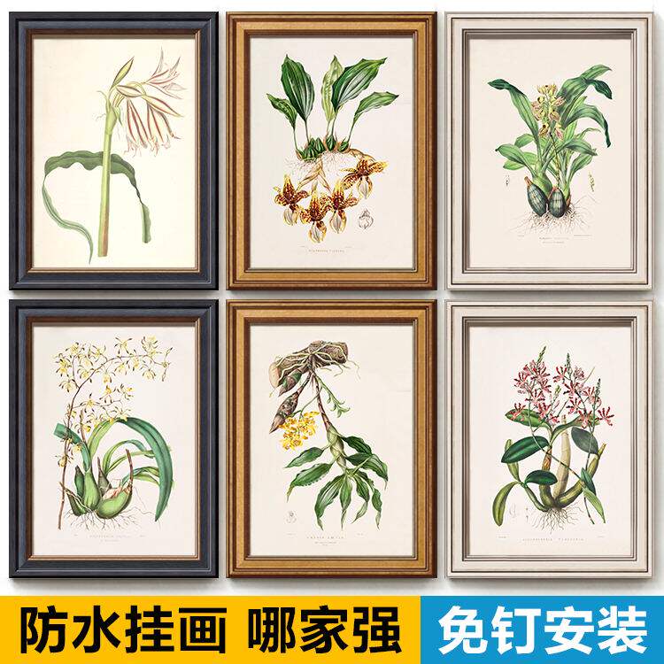 小清新风卫生间装饰挂画