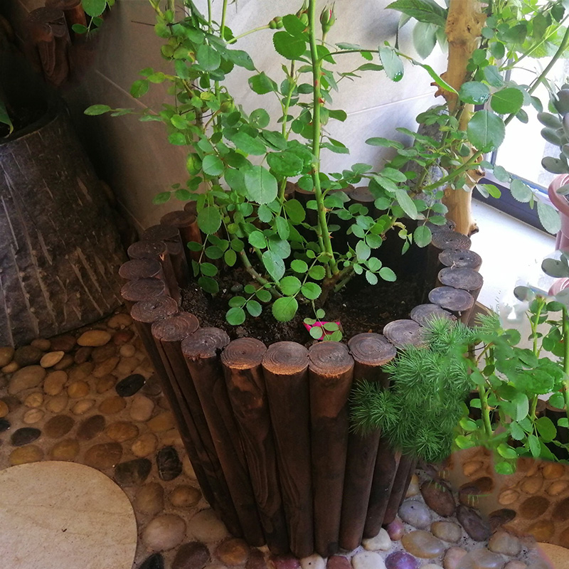 防腐木碳化桶种花卉绿植月季创意木质老桩深圆桶田园阳台多肉花盆