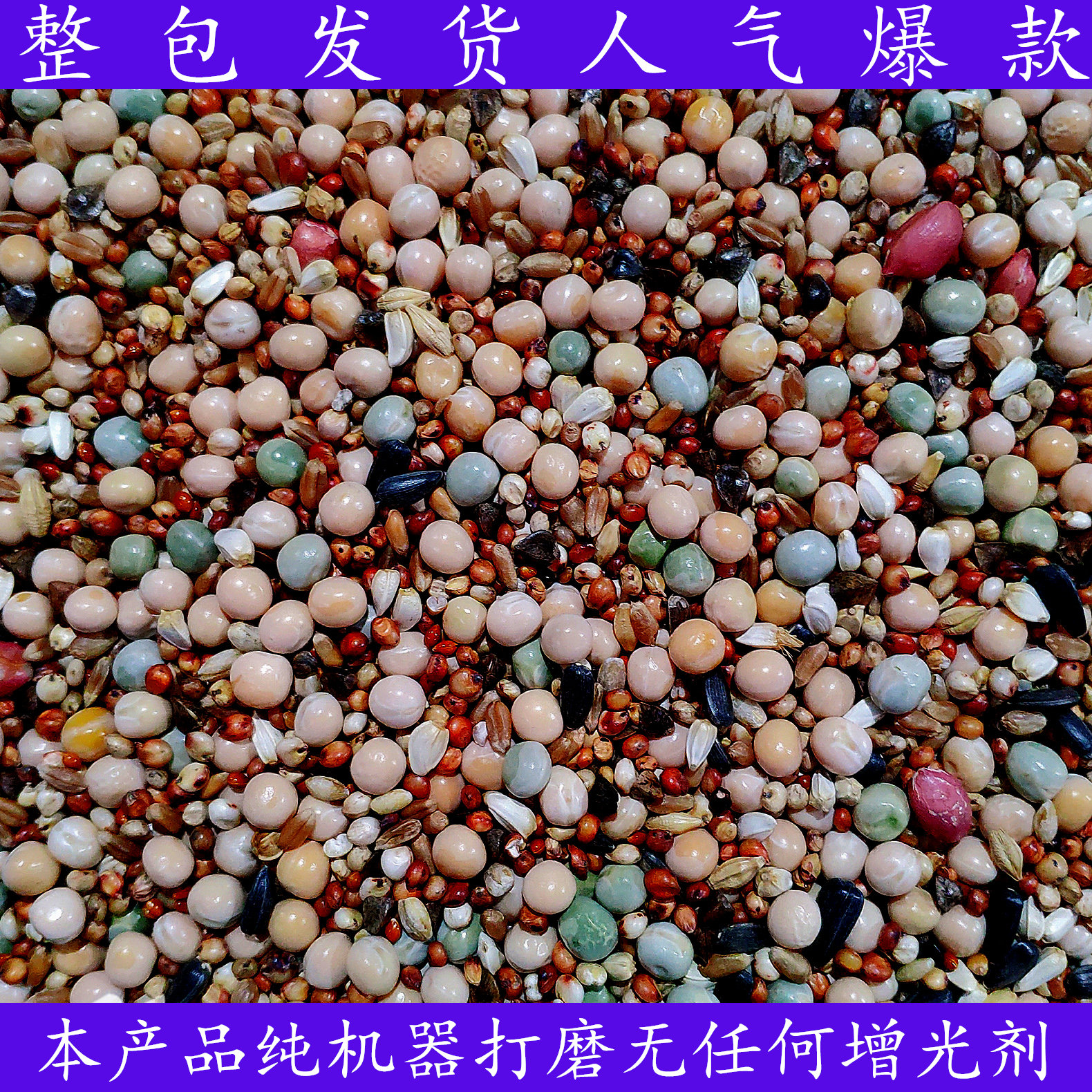 粮良德易a级无玉米食粮信鸽幼鸽