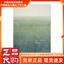 宜家代购豪特鲁姆长绒地毯多色渐变图色北欧客厅卧室装饰地垫