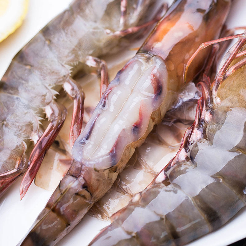 东山岛沈船长海鲜鲜活虾大虾大斑节虾大黑虎虾大九节虾17只/斤装