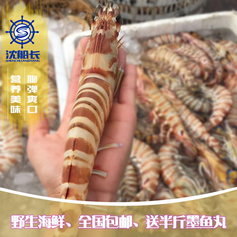 沈船长大虾 新鲜水产野生鲜海鲜基围虾鲜活3-4条超大 斑节虾大虾