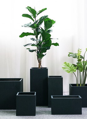 水泥大花盆橡皮树高黑色方形落地绿植龟背竹陶瓷长方形龙血树方盆